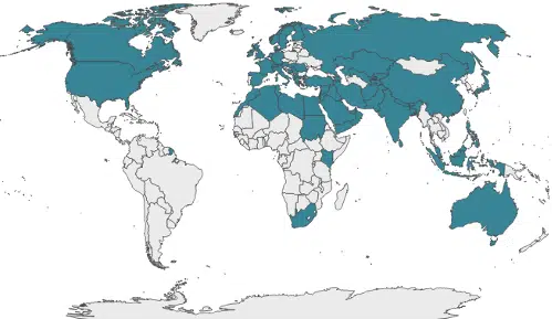 participants and partnerships